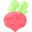 Radish icon