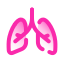 Pulmones icon