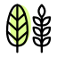 Decorative paddy leaf as a part of thanksgiving harvesting season icon