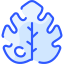 Leaf icon