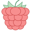 Raspberry icon