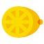 Citrus icon