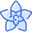 externe-hoya-blumen-vitaliy-gorbatschow-blau-vitaly-gorbatschow icon