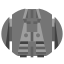 cylon-raider-tos icon