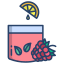 Raspberry Juice icon