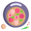 Salami And Mushroom Pizza icon