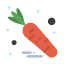 Carrot icon