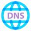 DNS icon