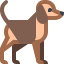 Cachorro icon