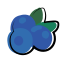 Blueberries icon