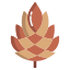 Pine Cone icon