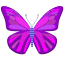 Papillon icon