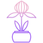 阳光下的植物 icon