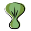 Bok-Choi icon