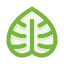 Leaf icon