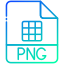 PNG icon