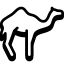 Camel icon