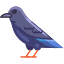 Raven icon