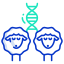 Sheep DNA icon
