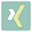 Xing icon