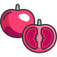 Tomato icon