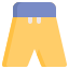 Swim Shorts icon