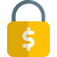 Secure online payment ssl protection, money security icon