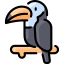 Toucan icon