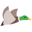 Flying Duck icon