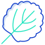 Aspen Leaf icon