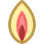 Vagin icon