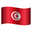 チュニジア-円形-絵文字 icon