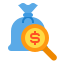 Money Search icon