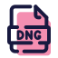 DNG icon