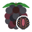 Blackberry icon