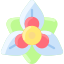 esterno-amaryllis-fiori-vitaliy-gorbachev-piatto-vitaly-gorbachev icon