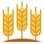 Barley icon