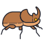 Escarabajo rinoceronte icon