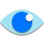 Eye icon