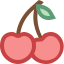 Cherry icon