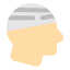 Head Injury icon