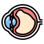 eye floaters icon