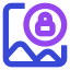 Image lock icon