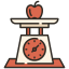 Weight Scale icon