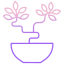 Bonsai icon