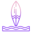 Skimboard icon