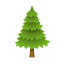 árvore perene icon