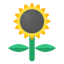 Tournesol icon