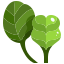 Spinach icon