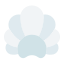 Seashell icon